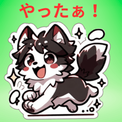 ボーダー・コリーのつぶやき