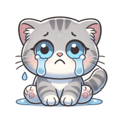 Mii-chan the Cat's Daily Life