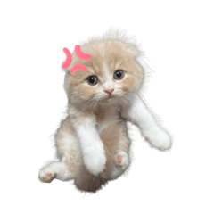 むぎとちくわです