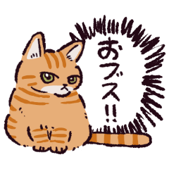 茶トラ猫です