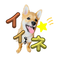 豆ちゃんすたんぷ