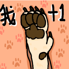 Shiba Inu 's Daily Life