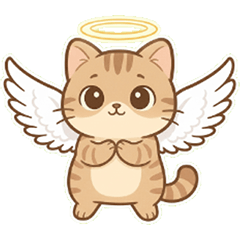 Money the tabby cat and the alpaca1