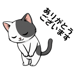 にゃこふぁみりー