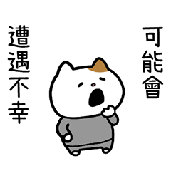 Paranoid Cat Taiwan Version