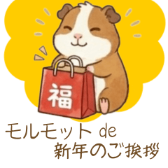 モルモットで新年のご挨拶