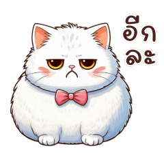 Chubby white cat chatting