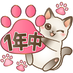 でか文字で見やすい1年中使えるはぴきゃと