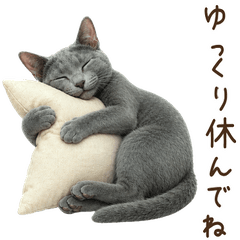 一年中使える♪ロシアンブルー