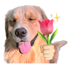 Lemon the good boii v.6 silly golden