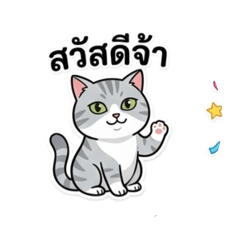 Toon Seya