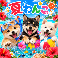 飛び出す♡夏の思いやりわんこ
