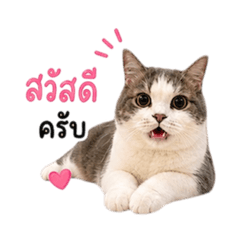 Nannaphat.pam_20260510211205