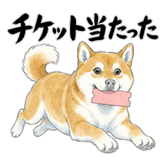 ライブ遠征のしば犬【推し活・オタク】