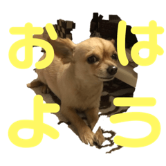 萩原 ジョンくん