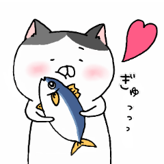 ねこまるの毎日