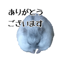 もちょとてちち ２