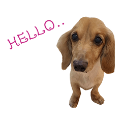 キャディちゃん