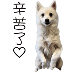 雪ちゃんの毎日2