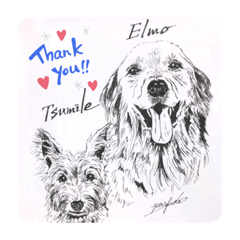 えるも と つみれ ①