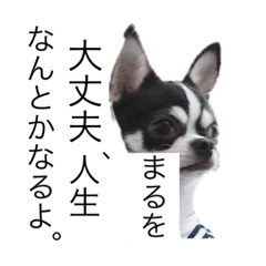 マールスタンプ2