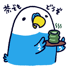 インコのいんここ