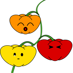 パプリカのスタンプ　関西バージョン