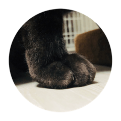 のあずすたんぷ