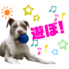 小山家&山口家〜part②with Friend