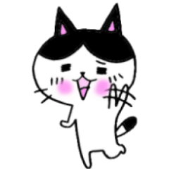 3にゃんこ 新バージョン