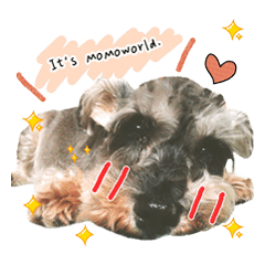 毎日モモーちゃん♥