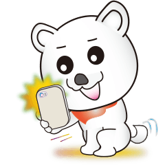 柴犬シロの日常