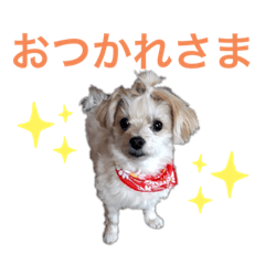 ちゃまちゃまスタンプ パート2