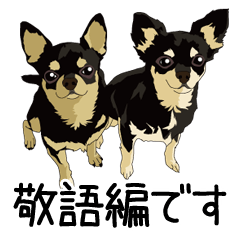 チワワのCOCOとLOUIS 敬語編