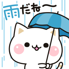 気づかいのできるネコ♪お天気編