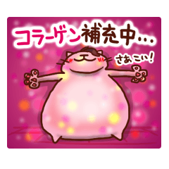 ねこの肉球＠ダイエット編