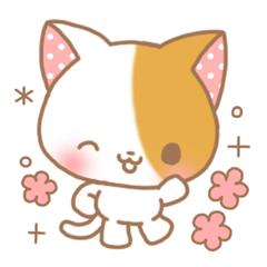 スイートきゃっと