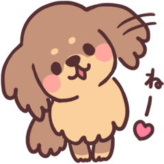 のびのびミニチュアダックス2