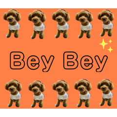 キュートなCo Co