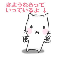 気付いてほしいネコ