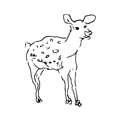 左手で描いた動物スタンプ