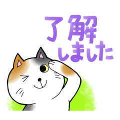 おとぼけねこちゃんのスタンプ