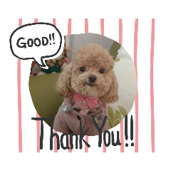 ワンちゃん挨拶など