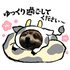 ワンニャフル！