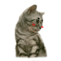 ボールちゃんと友達-中国語