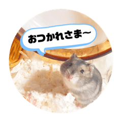 きなこの日常使える②