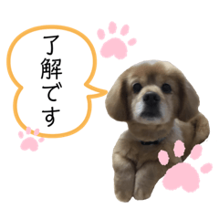 我が家のミルクさん 2