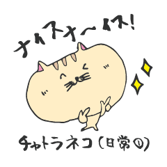 チャトラネコの日常①