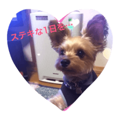 今日ものんびり〜✨癒しのイヴくん！