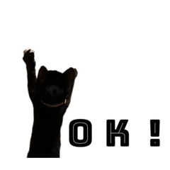 いぬとねことこねこ　その４